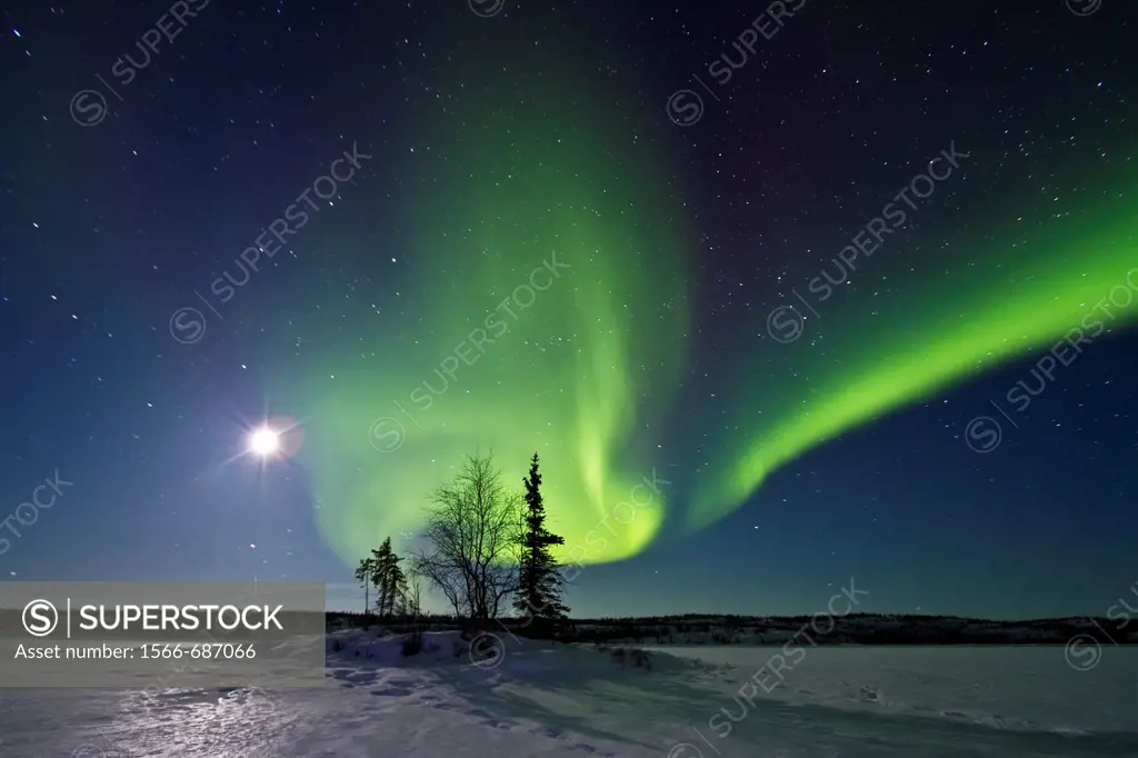 Aurora Borealis Northern Polar Lights and waxing moon over the boreal forest outside Yellowknife, Northwest Territories, Canada, MORE INFO The term au...