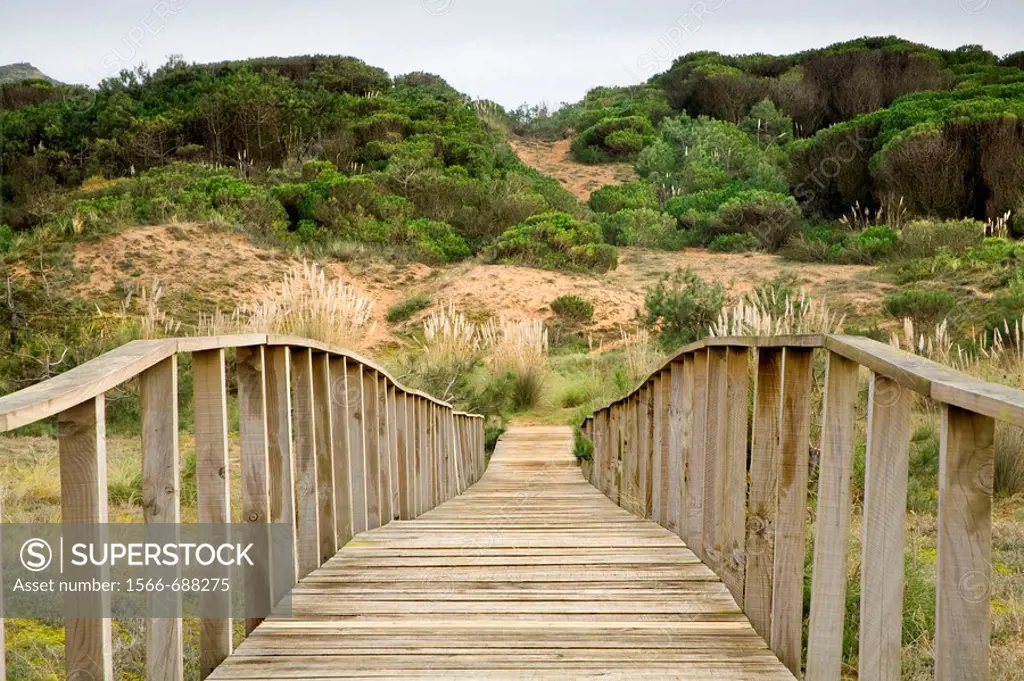 Wooden footbridge in sand dunes, Dunas de Liencres Natural Park, Cantabria, Spain