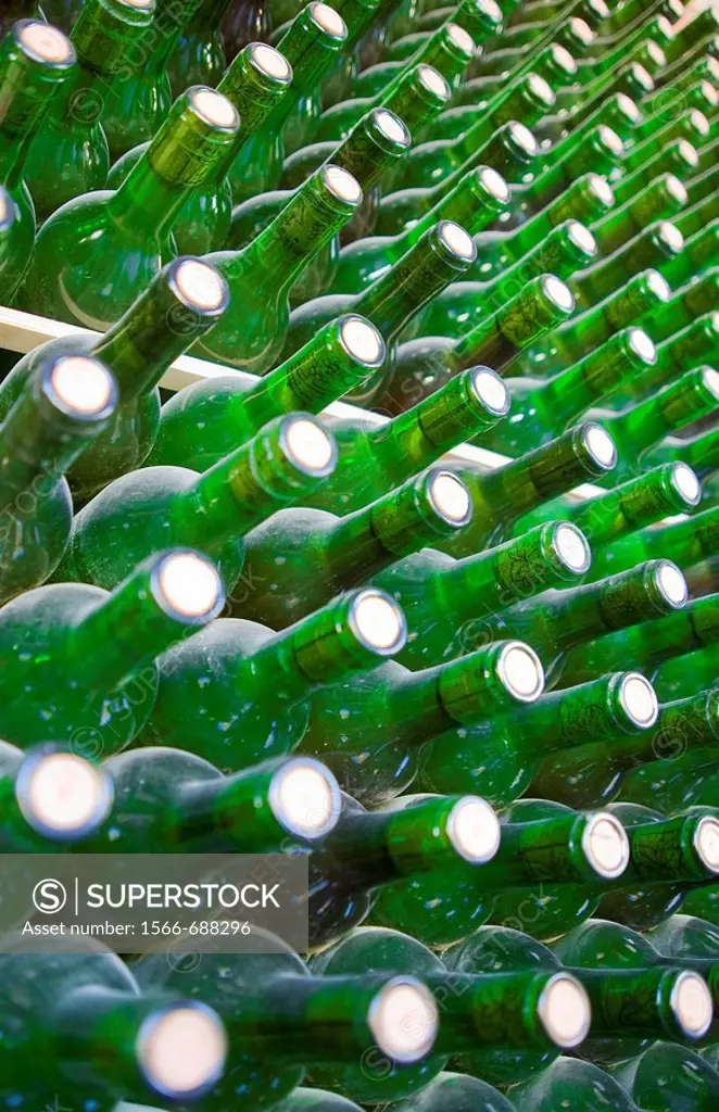 Wine bottles in a bottle rack. Heredad de Ugarte wine cellar, La Guardia, Alava, Alavese Rioja, Basque Country, Spain, Europe