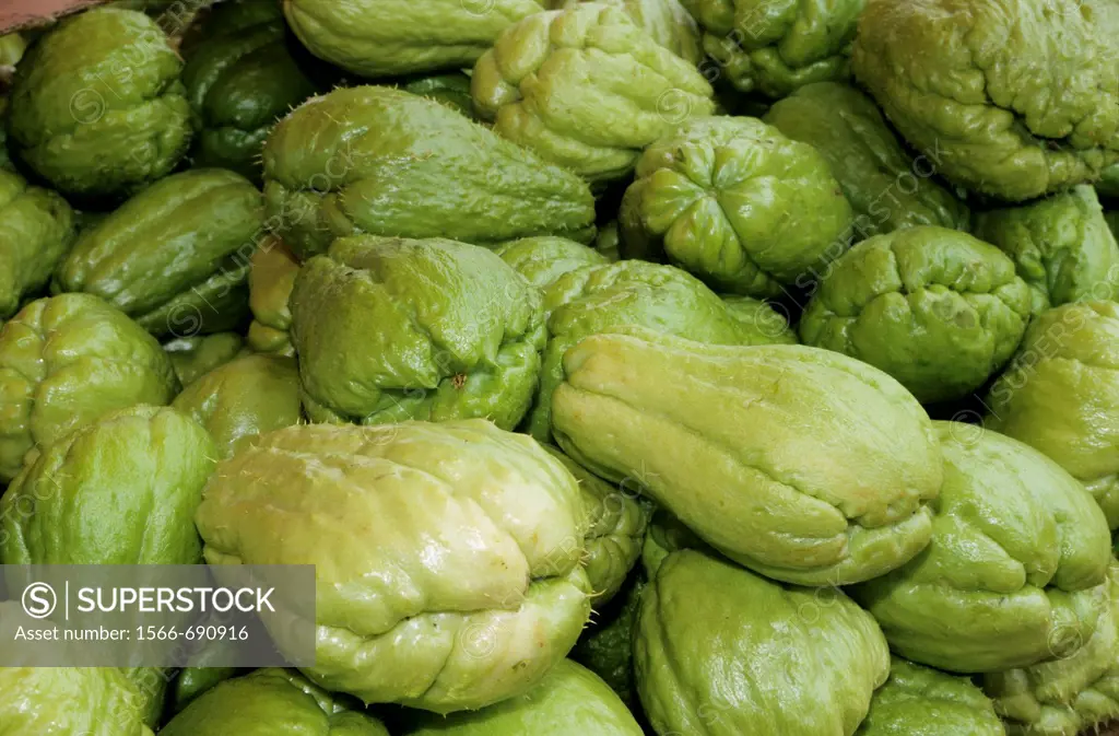 ´Chouchou´ vegetable also called christophine (lat : sechium edule, english : chayote), local fruit, Saint Paul market, La Reunion island (France), In...