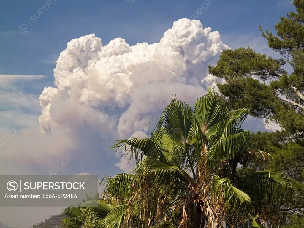 A pyrocumulus cloud rises above the Station Fire which burned for more than three months in the mountains near Los Angeles