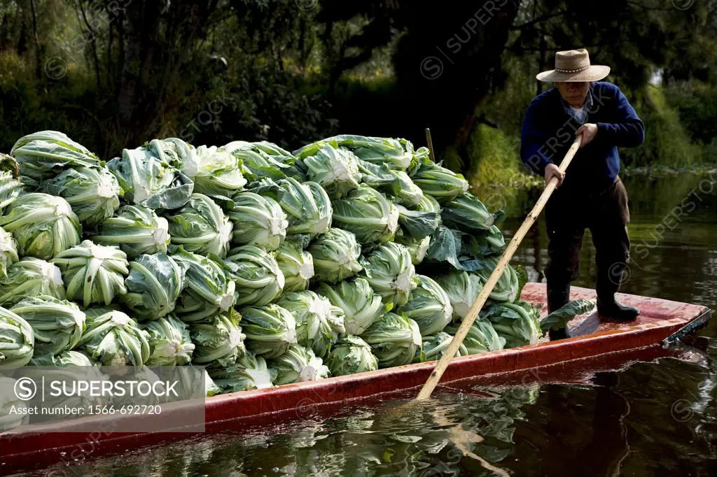 A man carry vegetable in a boat in the water canals of Xochimilco in southern Mexico City, January 18, 2009  The water canals and gardens in Xochimilc...