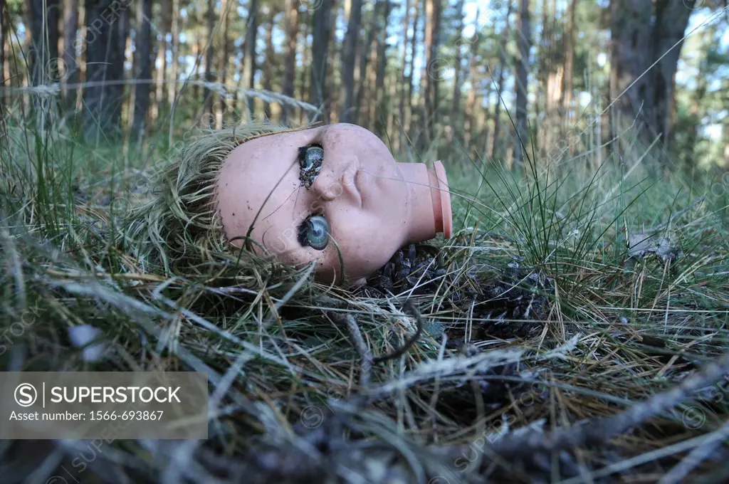 Plastic doll´s head in forest
