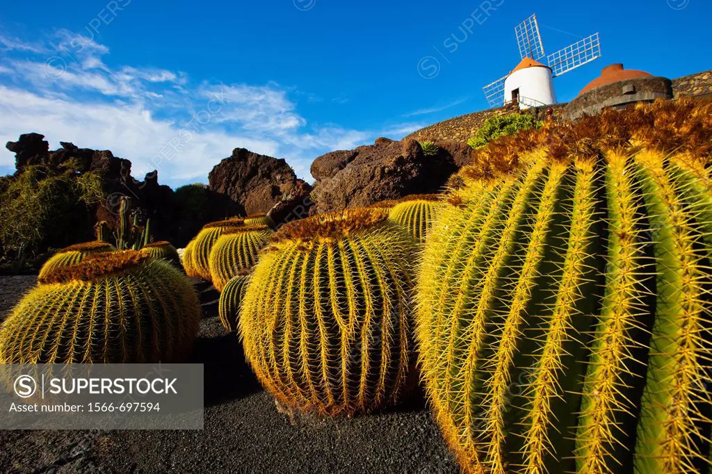 ´Echinocactus Grusonii´ Mexico, S, Luis de Potosi, Cactus Garden, a magnificent example of an arquitectonic intervention integrated into the landscape...