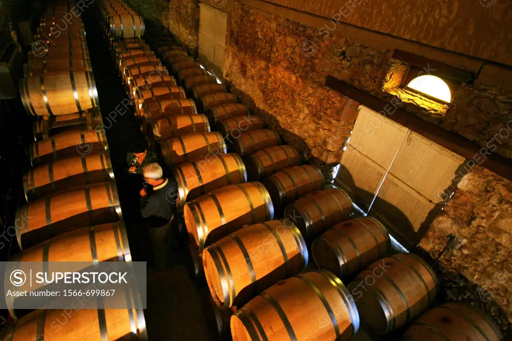 Chateau de Sabazan wine cellars at the Saint Mont AOC, Gers, Midi-Pyrenees, France