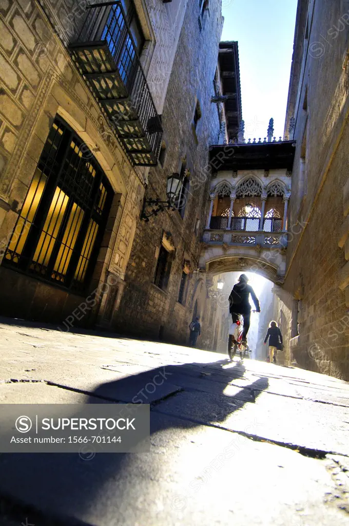 Obispo Irurita street(Carrer del bisbe). Gothic quarter, Barcelona, Catalonia, Spain.