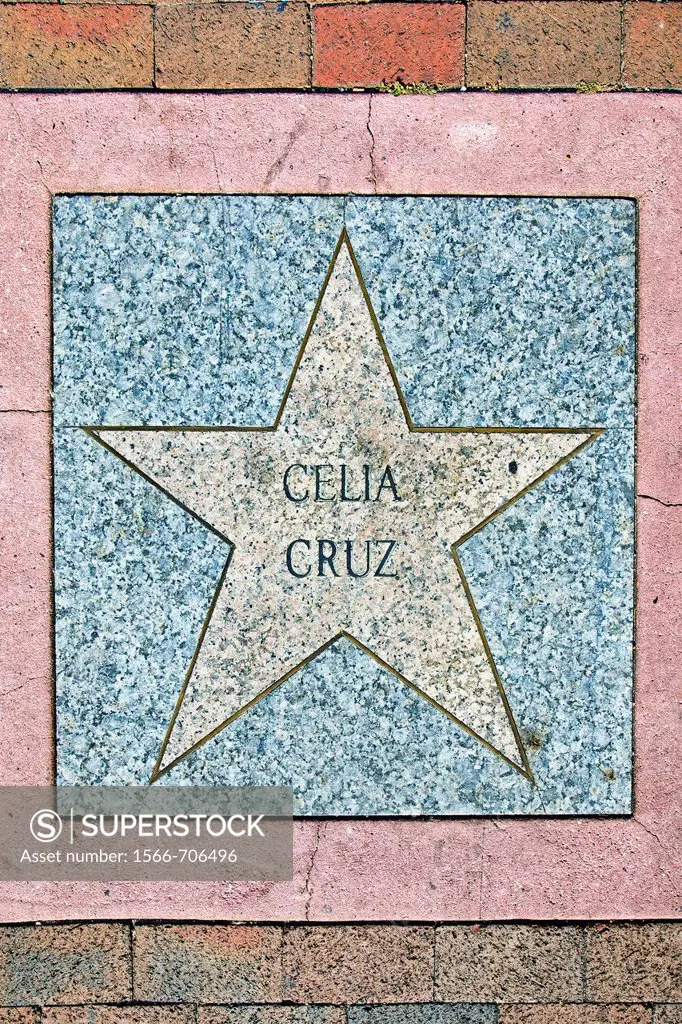 Celia Cruz Star, Walk of Cuban Stars, Calle Ocho, Little Havana  Miami  Florida  USA