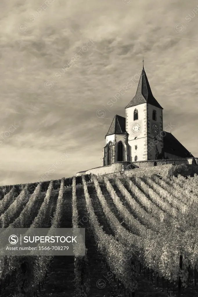 France, Haut-Rhin, Alsace Region, Alasatian Wine Route, Hunawihr, town church, autumn