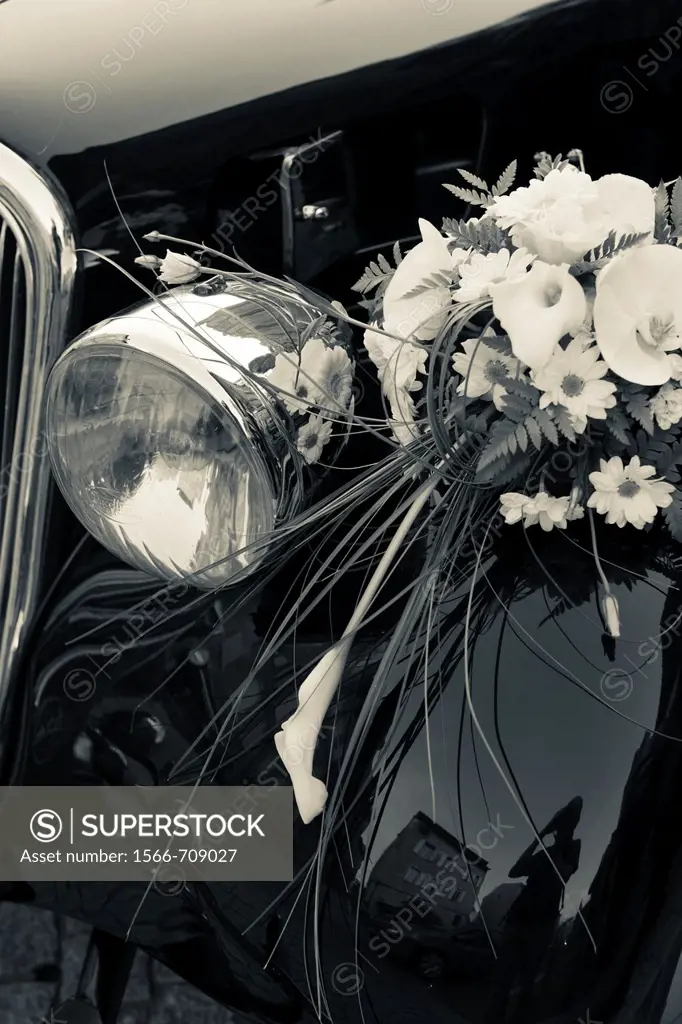 France, Midi-Pyrenees Region, Tarn Department, Albi, 1940´s-era Citroen Traction-Avant car with wedding bouquet