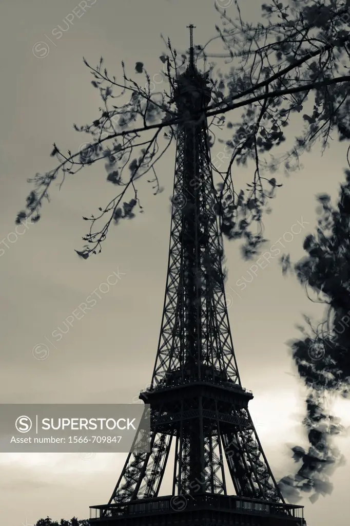 France, Paris, Eiffel Tower, dawn