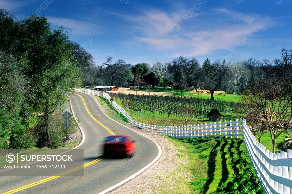 Country road through the Shenandoah Valley near Plymouth, Amador County, California