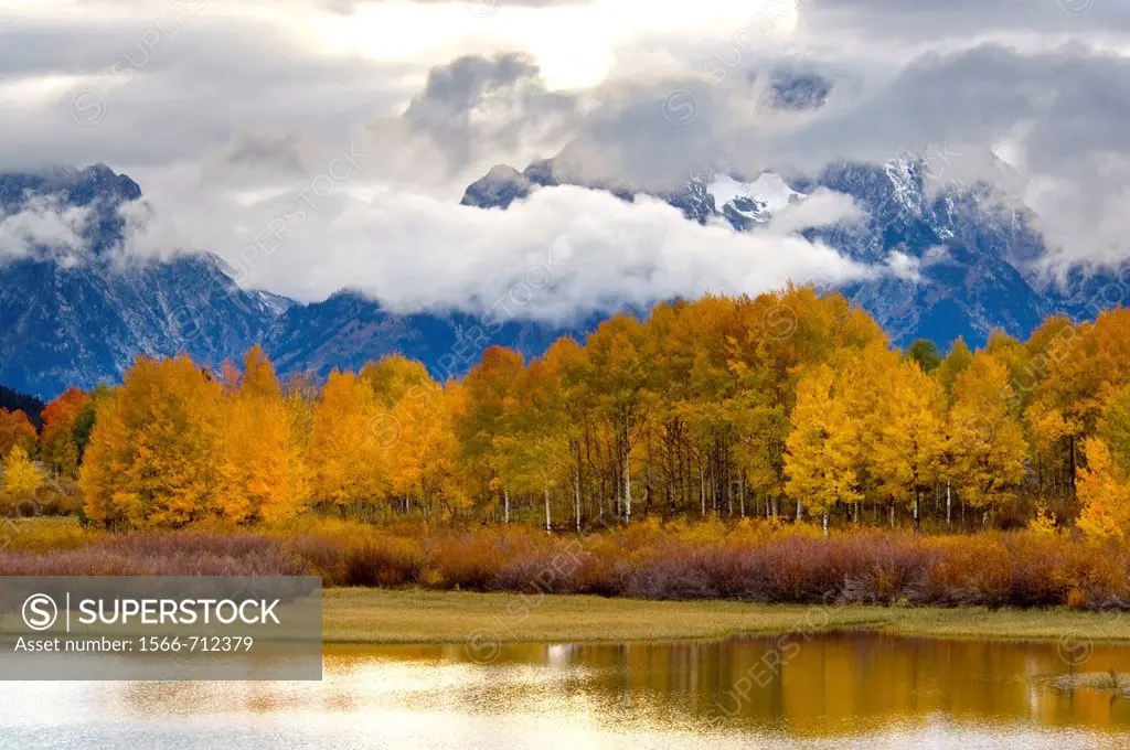 Aspen trees and fall storm clouds over Mount Moran, at Oxbow Bend, Snake River, Grand Teton National Park, Wyoming