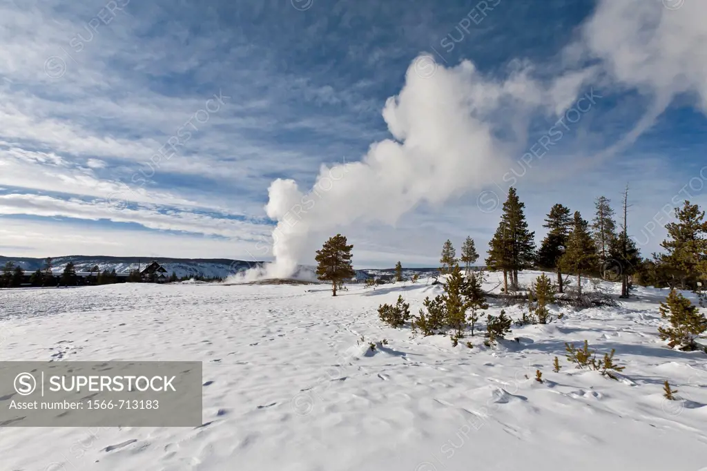Old Faithful Geyser, Winter, Yellowstone NP, WY