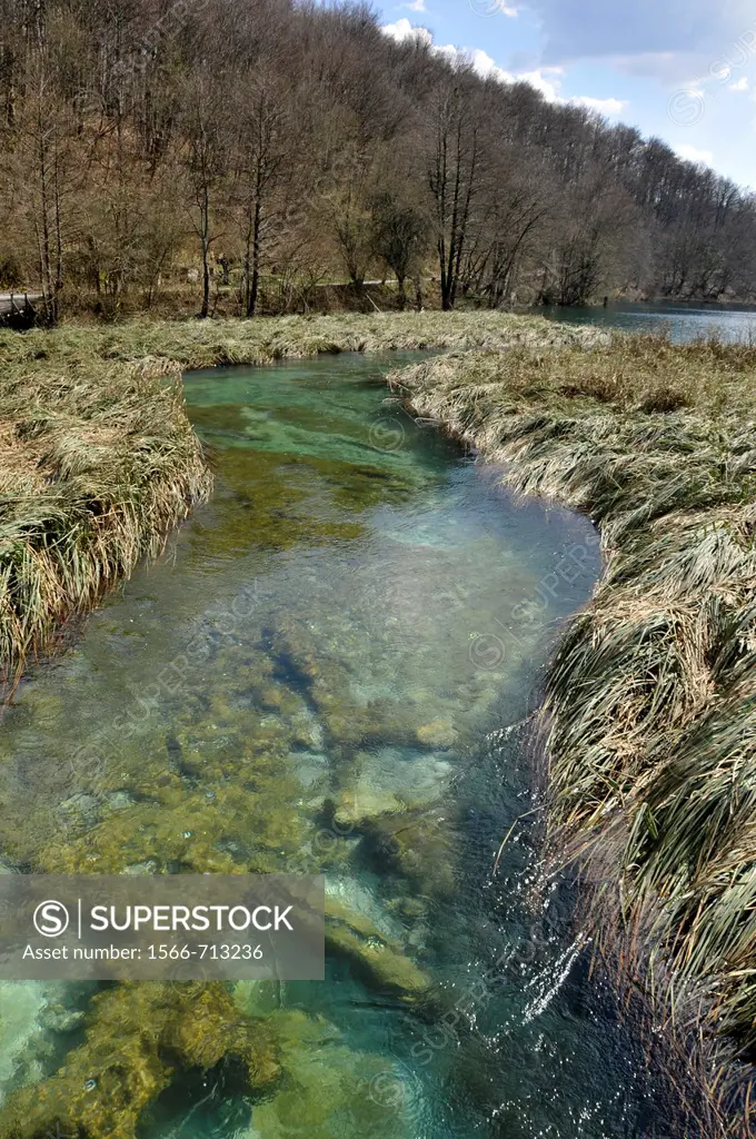 Clear spring water flows through grass beds, Plitvice Jezera Lakes National Park, Natural World Heritage Site, Croatia.