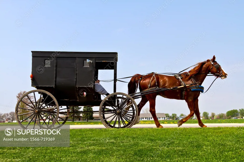 Amish and Mennonites in their horse and buggies in Shipshewana, Indiana, USA