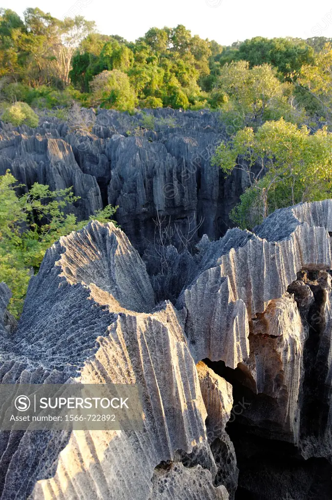 Tsingy de Bemaraha Strict Nature Reserve is a nature reserve located near the western coast of Madagascar in Melaky Region. The area was listed as a U...