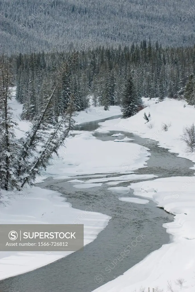 Bow River Valley in winter, Banff National Park Alberta Canada