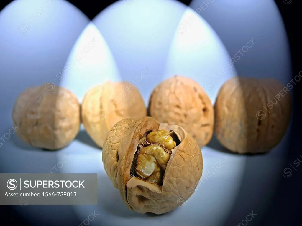 Common walnuts, Juglans regia