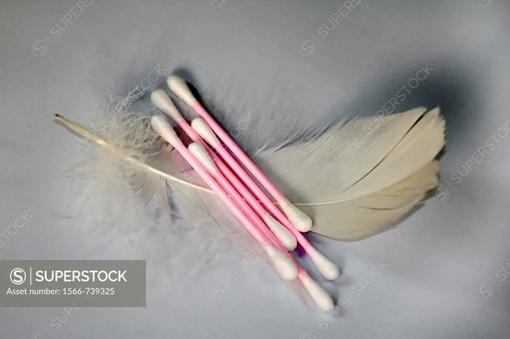 Cotton buds on White feather