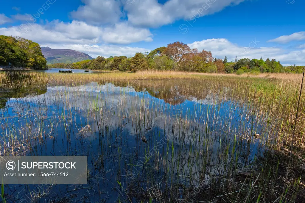 Peaceful lake scene in the Killarney National Park, County Kerry, Ireland, Europe