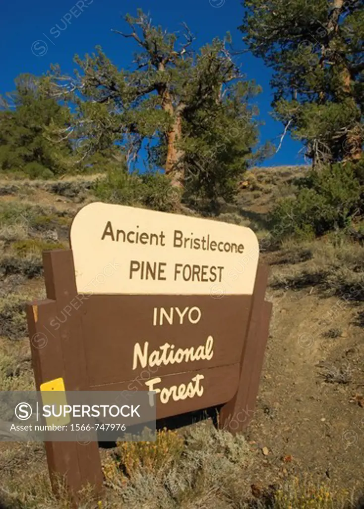 Entrance sign, Ancient Bristlecone Pine Forest, Ancient Bristlecone National Scenic Byway, Inyo National Forest, California