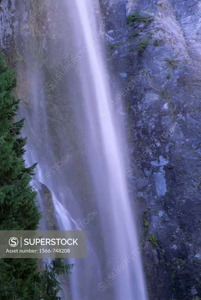 Comet Falls, Mt Rainier National Park, WA