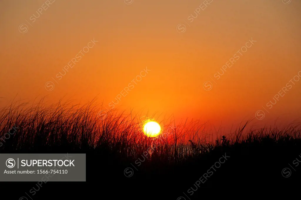 Coastal sunrise, Cape Cod, MA, USA