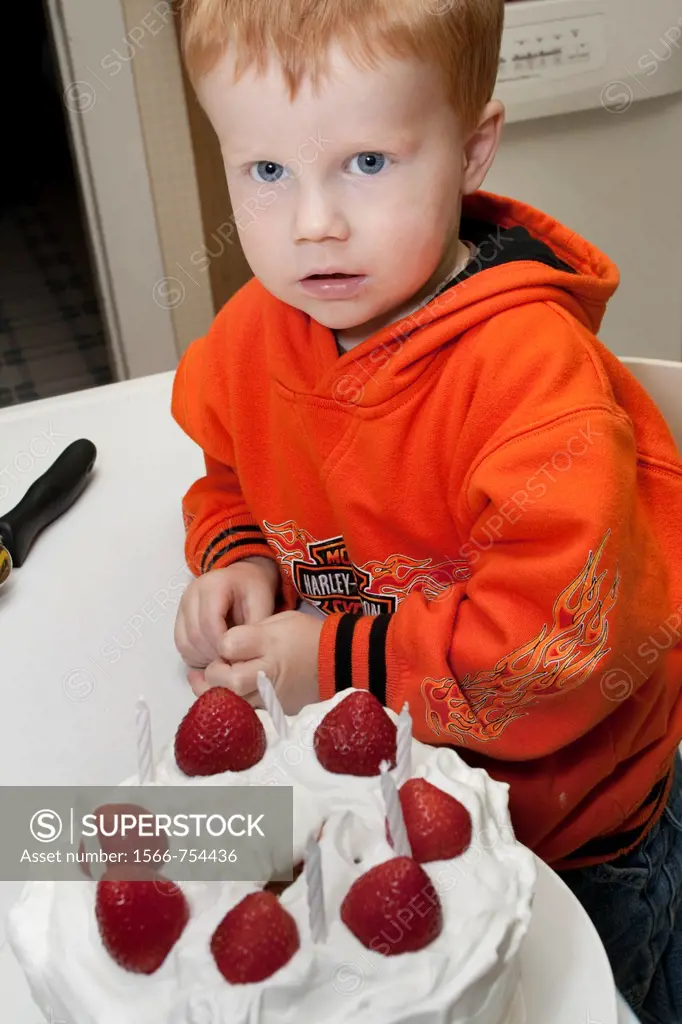 Boy age 3 inspecting a strawberry topped birthday cake  Clitherall Minnesota MN USA