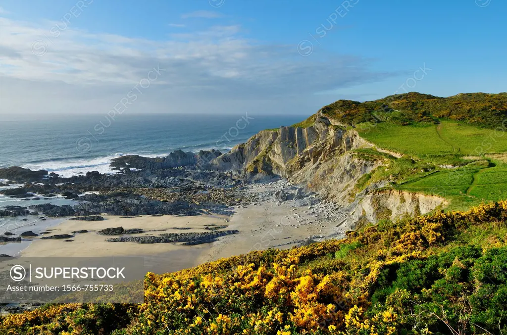 The North Devon coast at Rockham Bay, Mortehoe, Devon, England, United Kingdom