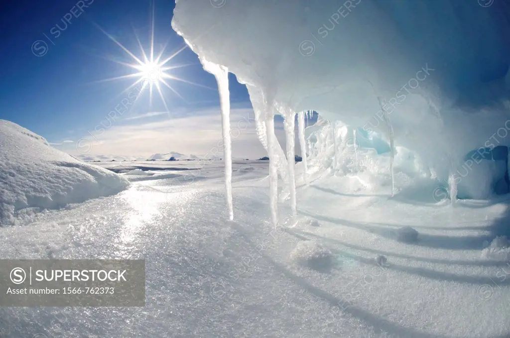 Icicles melting in the Arctic midnight sun