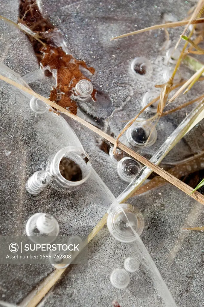 Bubbles frozen in layers of ice along a stream