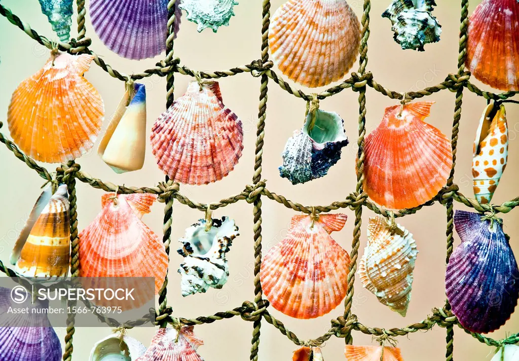 Decorative shells  Fira village  Santorini island, Cyclades islands, Aegean Sea, Greece, Europe
