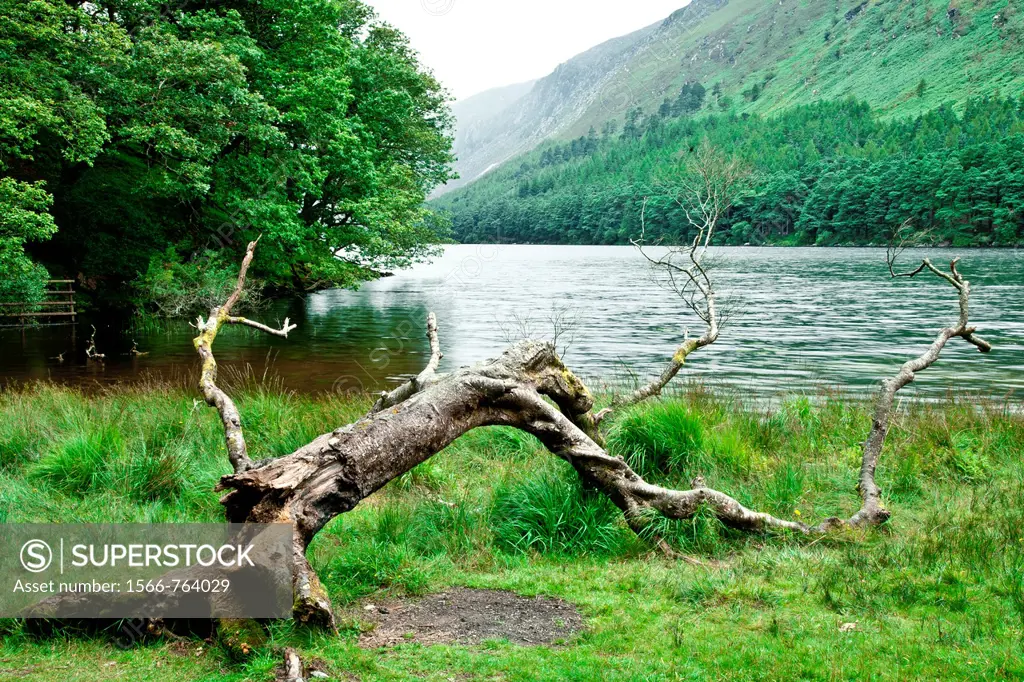 Upper Lake at Glendalough  Wicklow Mountains National Park  County Wicklow  Ireland