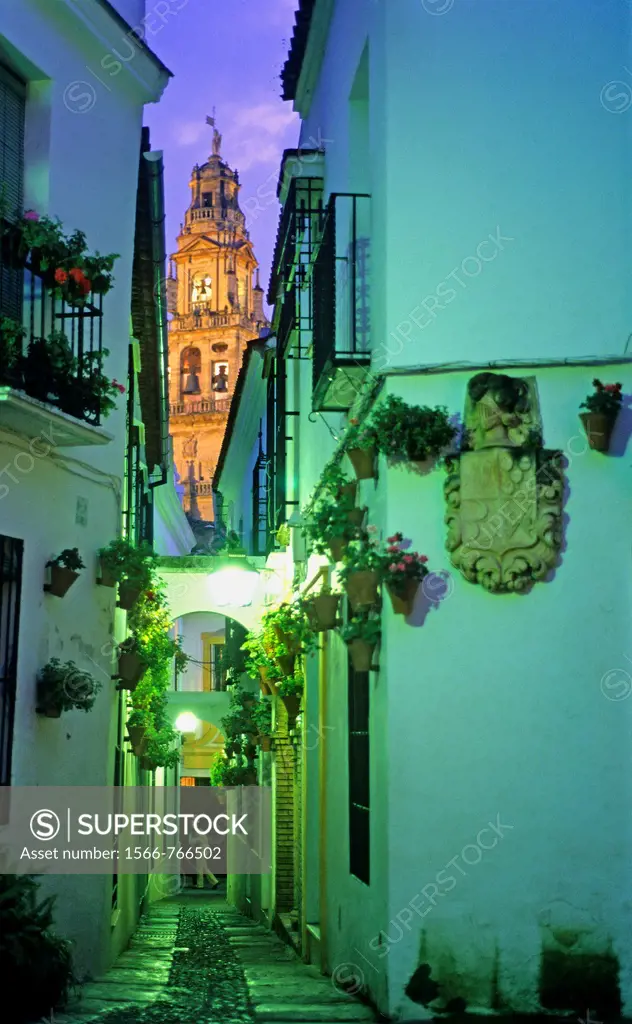 Córdoba Andalusia  Spain: Calleja de las Flores, in the background Bell tower or minaret of the mosque-cathedral