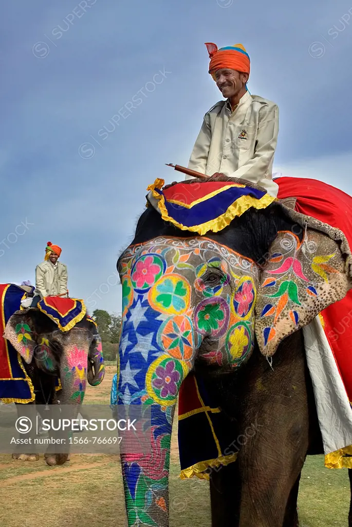 Elephant Festival,Jaipur, Rajasthan, India