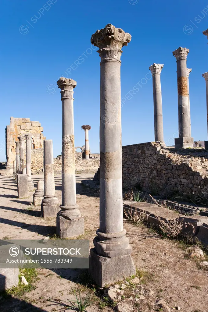 The Capitol, Roman Ruins, Volubilis, Morocco