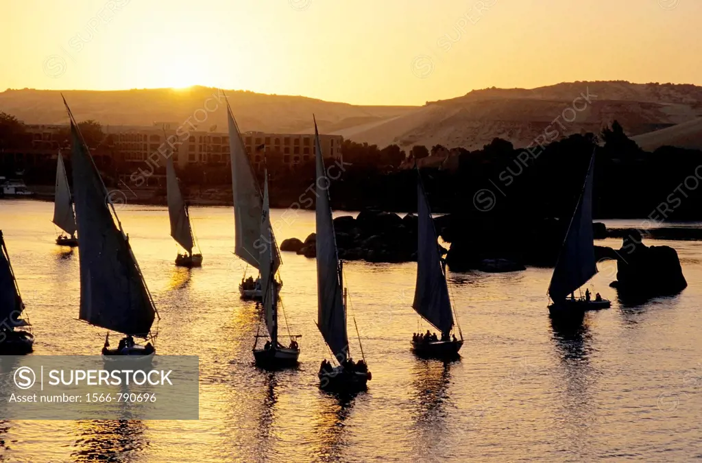 Feluccas sailing on the Nile river at sunset, Aswan, Egypt