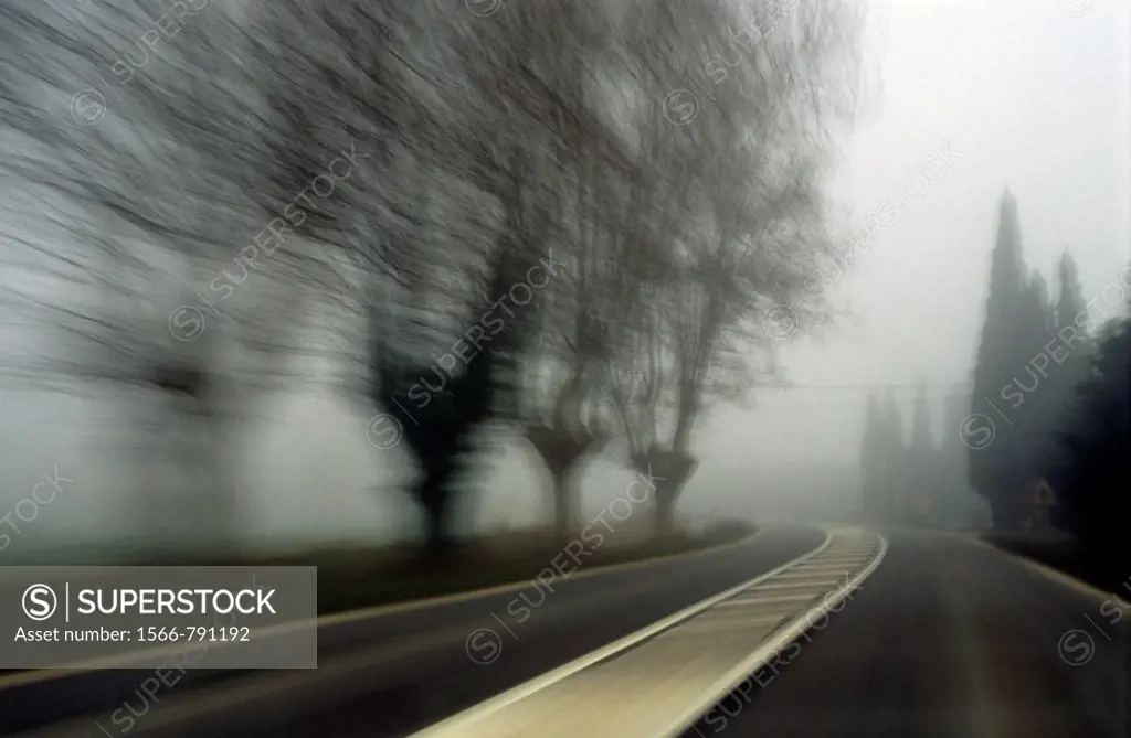 Blurry bare trees visible through the fog seen from a speeding car, Carpentras, Provence, France