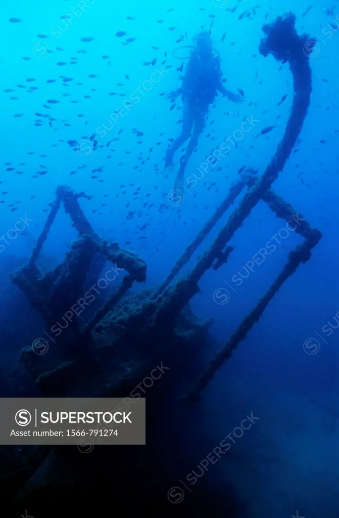 Diver exploring the Dalton Shipwreck with a school of fish swimming in the background, Marseille, France