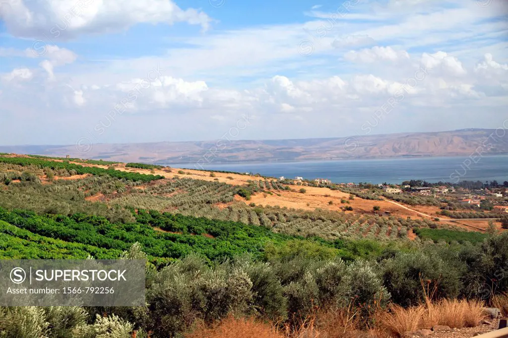 Country-side of the Upper Galilee Israel