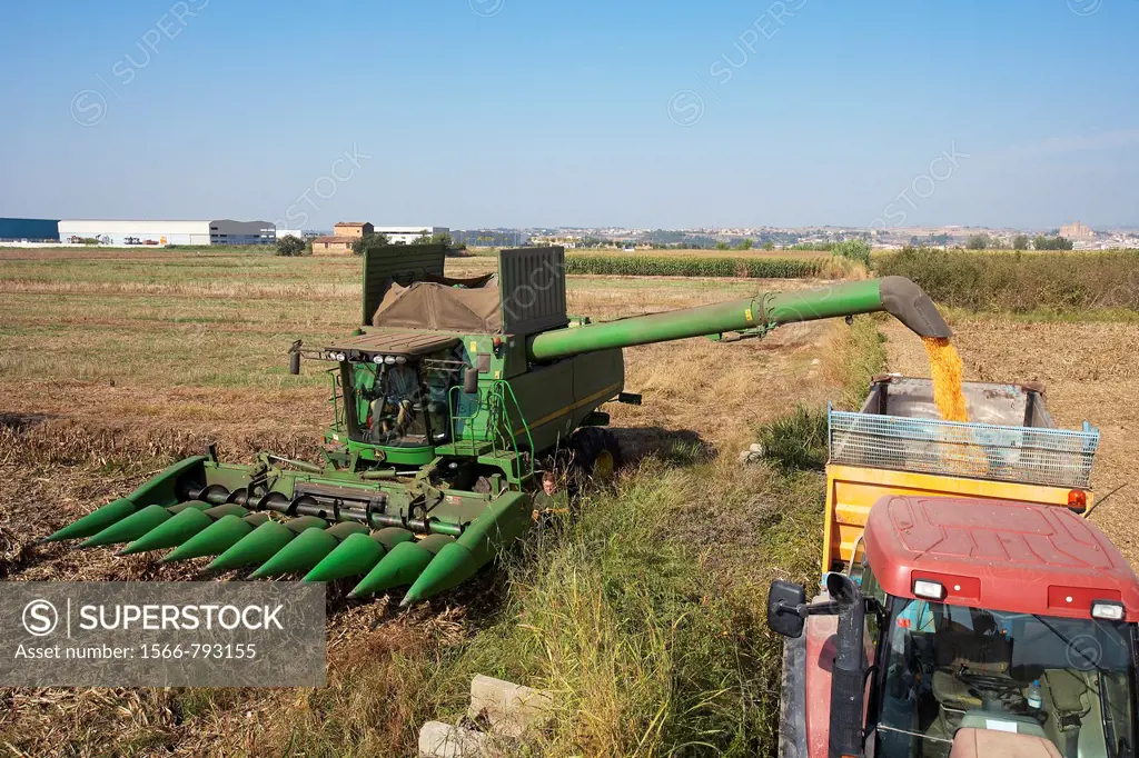 Combine-harvester unloading corn into a tow