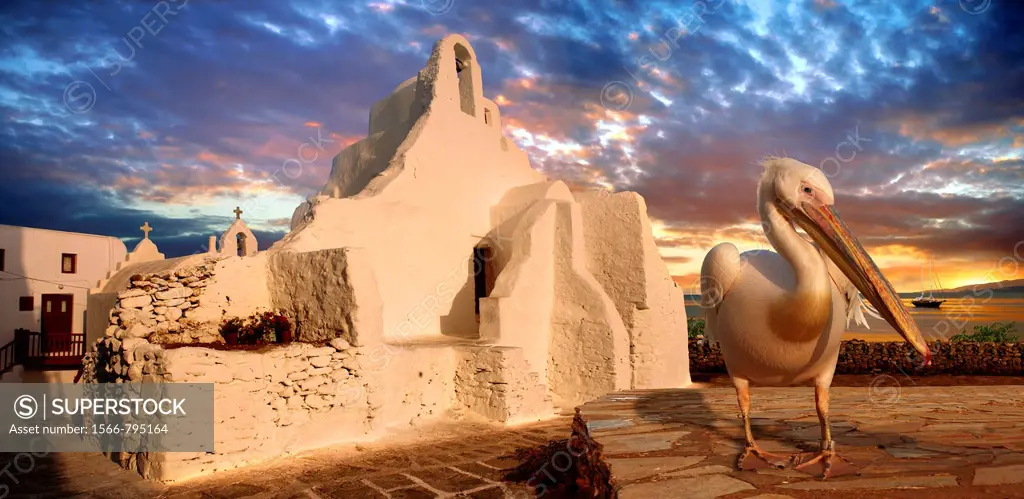 Paraportiani Greek Orthodox churches of Mykanos Chora with the Pelican town mascot Petros, Cyclades Islands, Greece