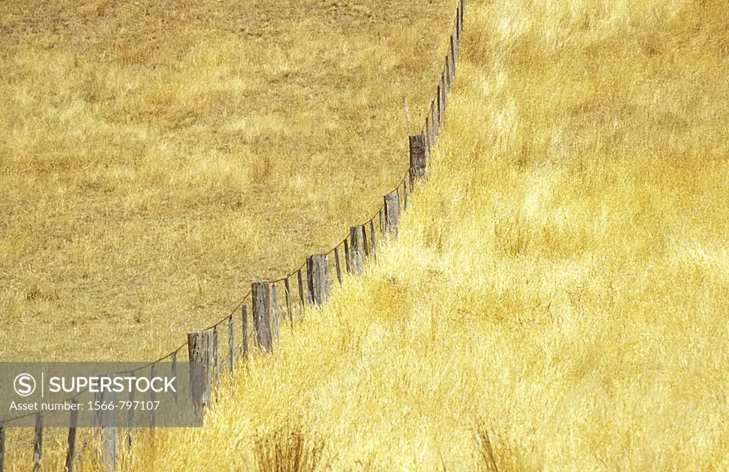 Paddocks in dry grass country divided by a fence which travels off into the distance and continues up a steep hill