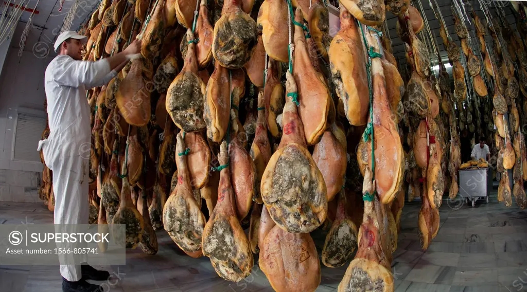 Trevelez drier hams  Alpujarra, Granada, Andalusia, Spain