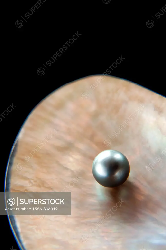 Precious grey pearl inside shell