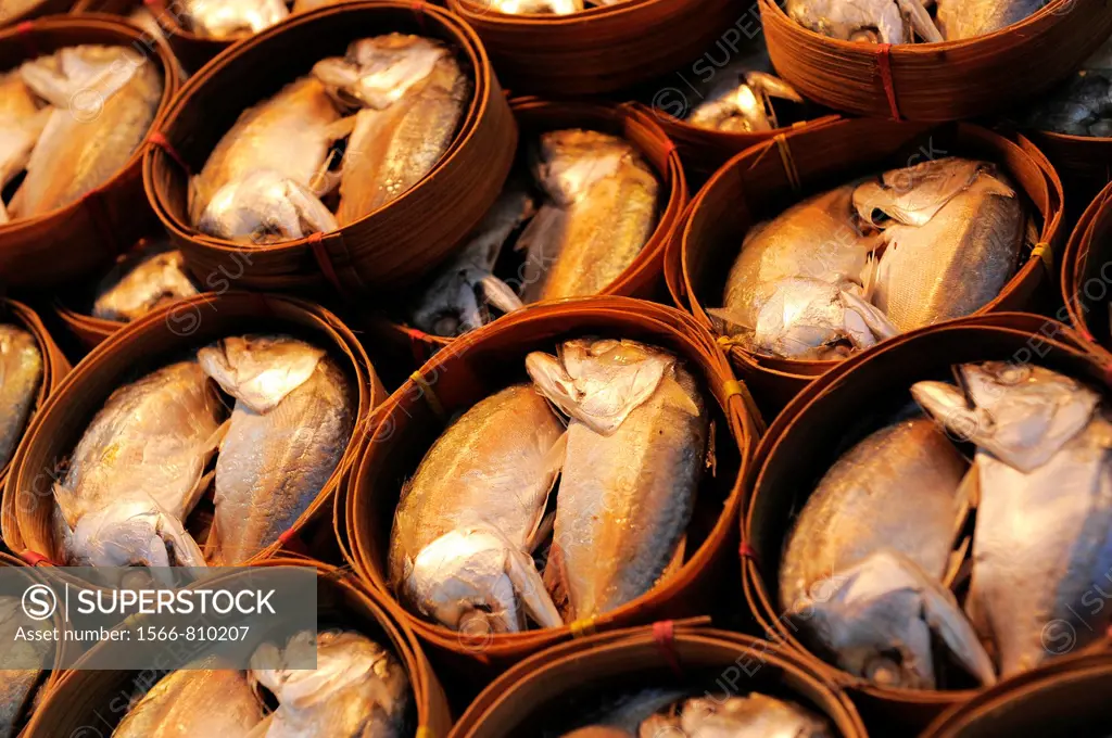 two head fish on display , also known as Pla thu a kind of mackerel is often eaten together with nam phrik kapi , klong toey klong toei market , bangk...