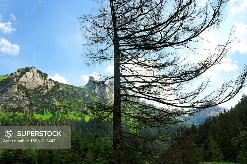 mount staubernkanzel middle - near lake samtisersee - alpstein mountain range - canton of appenzell-innerrhoden - switzerland
