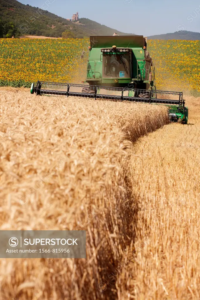Agricultural machinery  Combine harvester on field of wheat  ´Learza´ estate  Near Estella, Navarre, Spain