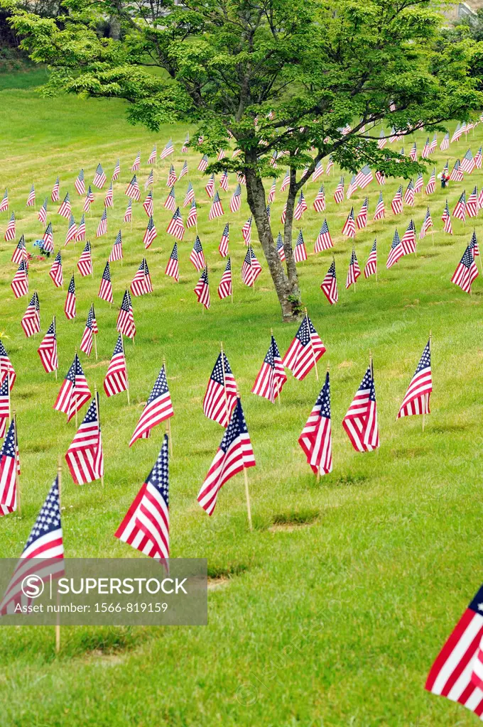 Rows of American Flags on the graves of American war veterans at the National Cemetery in Bourne, Cape Cod, Massachusetts, USA