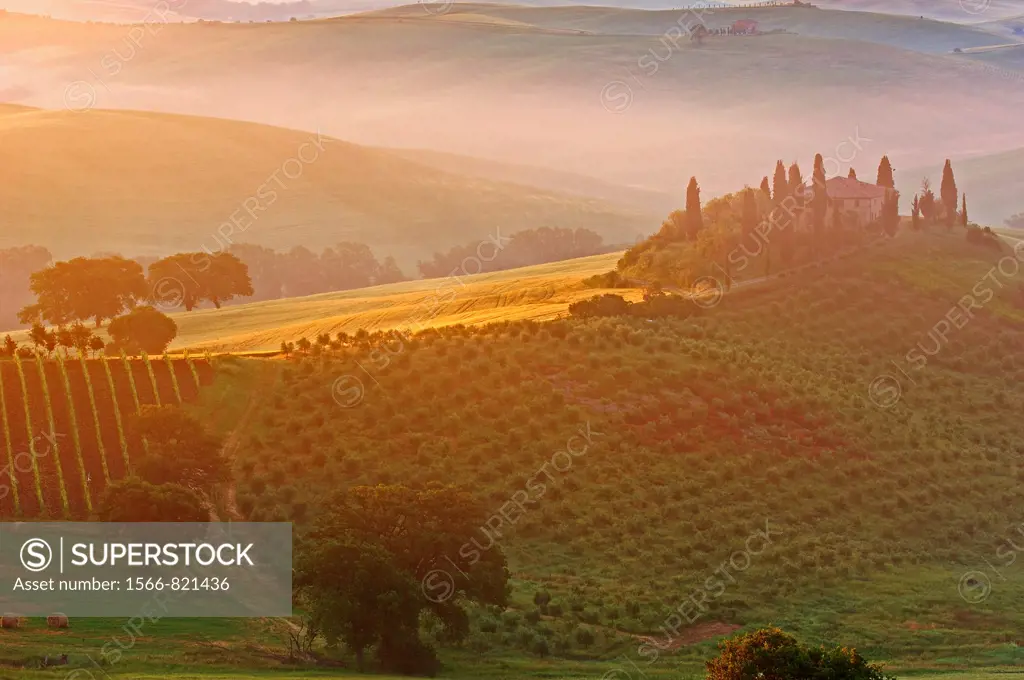 Val d´Orcia  Orcia Valley  Morning fog  The Belvedere at dawn  UNESCO World Heritage Site  San Quirico d´Orcia  Siena Province  Tuscany  Tuscany lands...